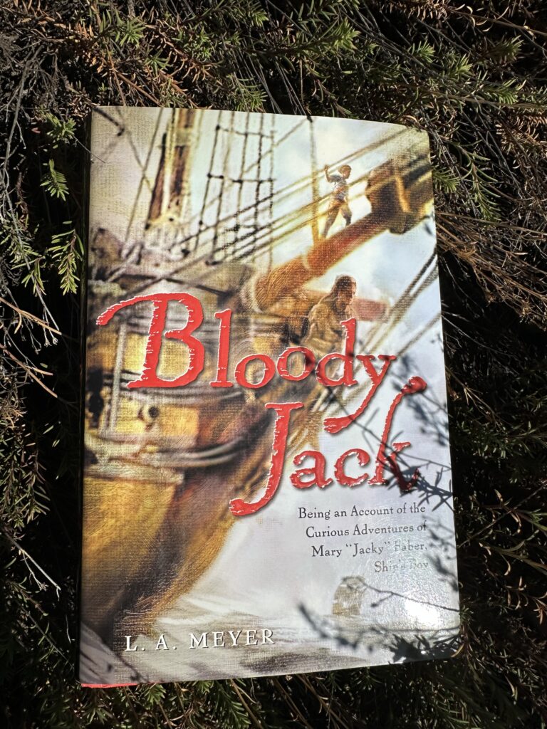 The cover of Bloody Jack by LA Meyer shows the front of a ship with a figure of indeterminate gender on the bowsprit