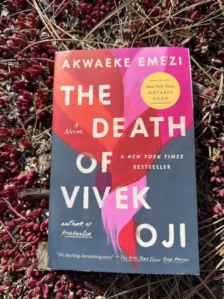 The cover of The Death of Vivek Oji by Akwaeke Emezi shows a stylized plait of red, orange, and pink meant to evoke hair