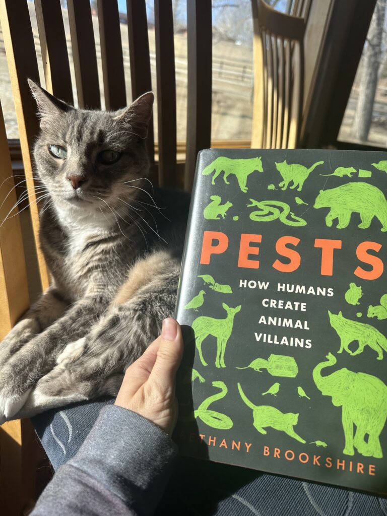 The book Pests by Bethany Brookshire held up in front of a disgruntled gray tabby