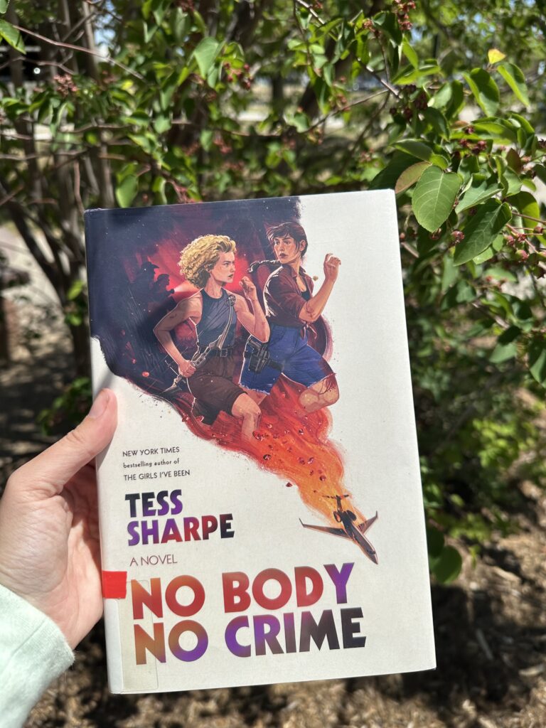 On the Cover of No Body No Crime, a plane crashes in the lower right and in the smoke rising up behind it, we can see two women running, being pursued by dark figures